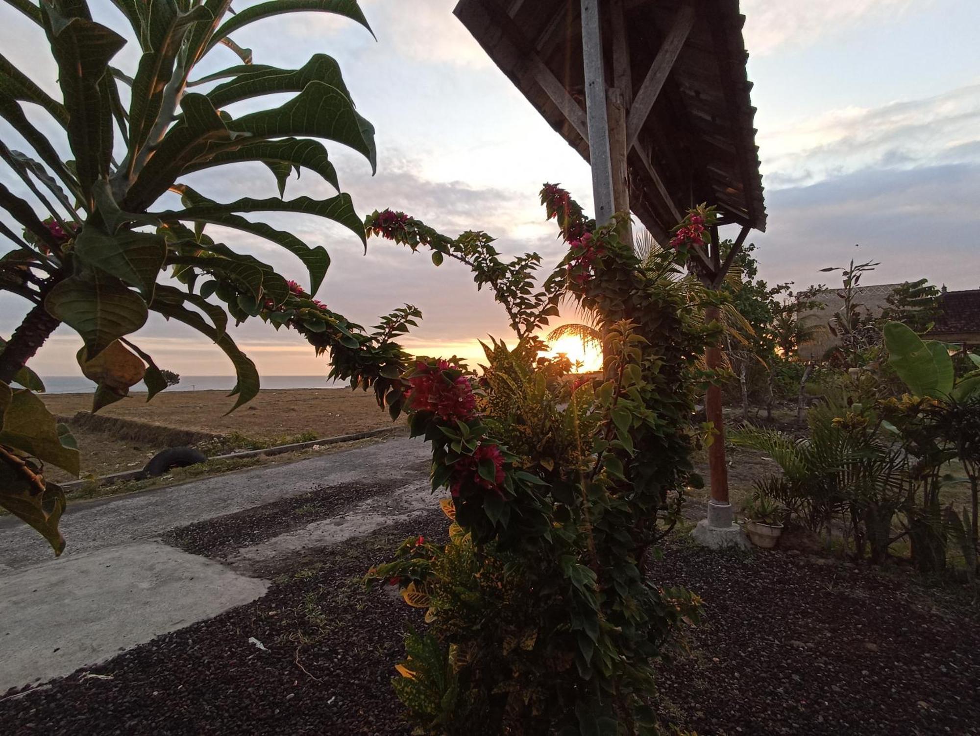 Appartamento Ayolah Surf House &Surf Camp Jembrana Esterno foto